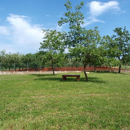 Holiday Home Rosa Gedići Екстериор снимка