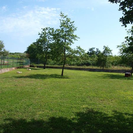 Holiday Home Rosa Gedići Екстериор снимка
